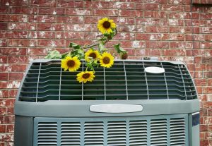 AC-outdoor-unit-with-flowers-on-top